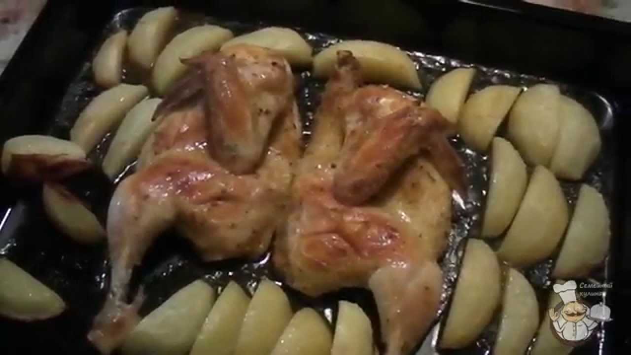 Курица с в духовке с майонезом и чесноком рецепт с фото пошагово в духовке