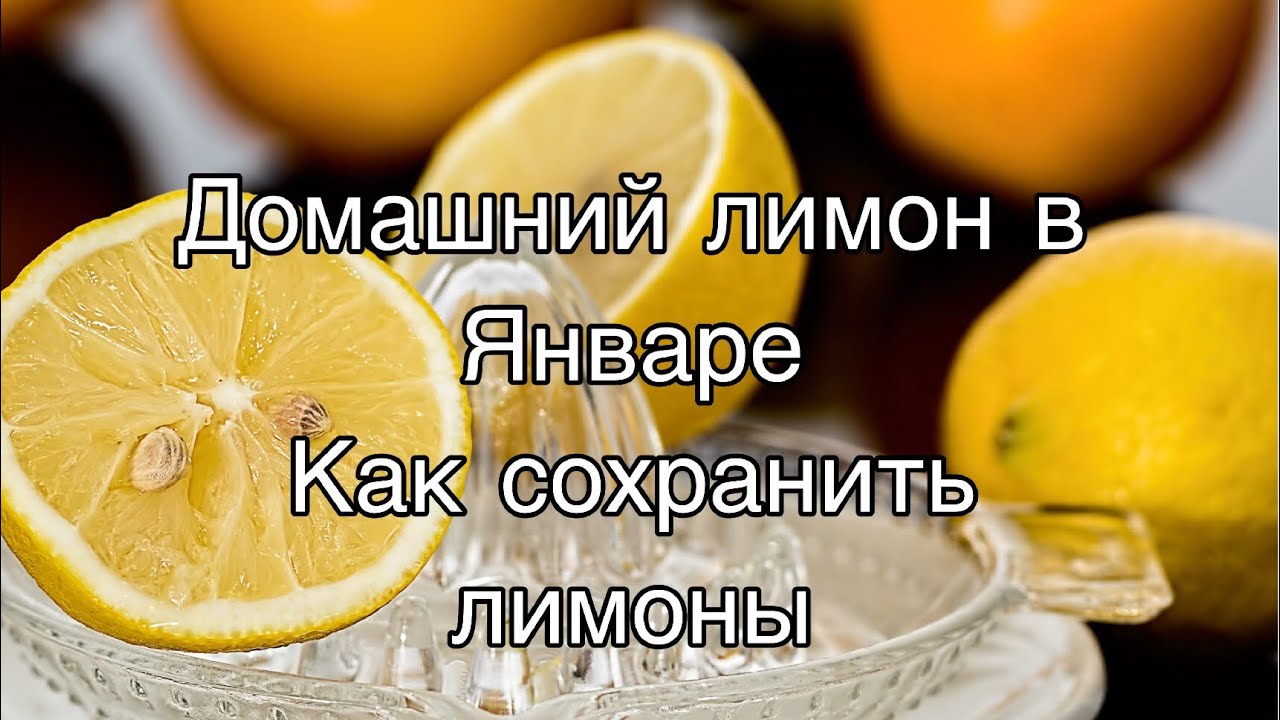 Сохранить лимоны в домашних